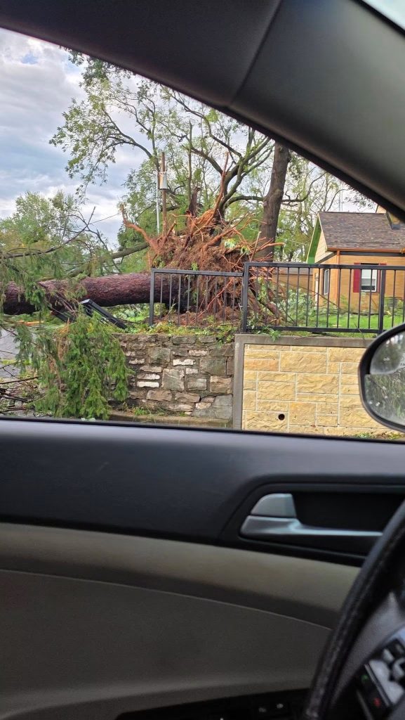 An uprooted tree seen through a car window in Kansas City, Kansas
