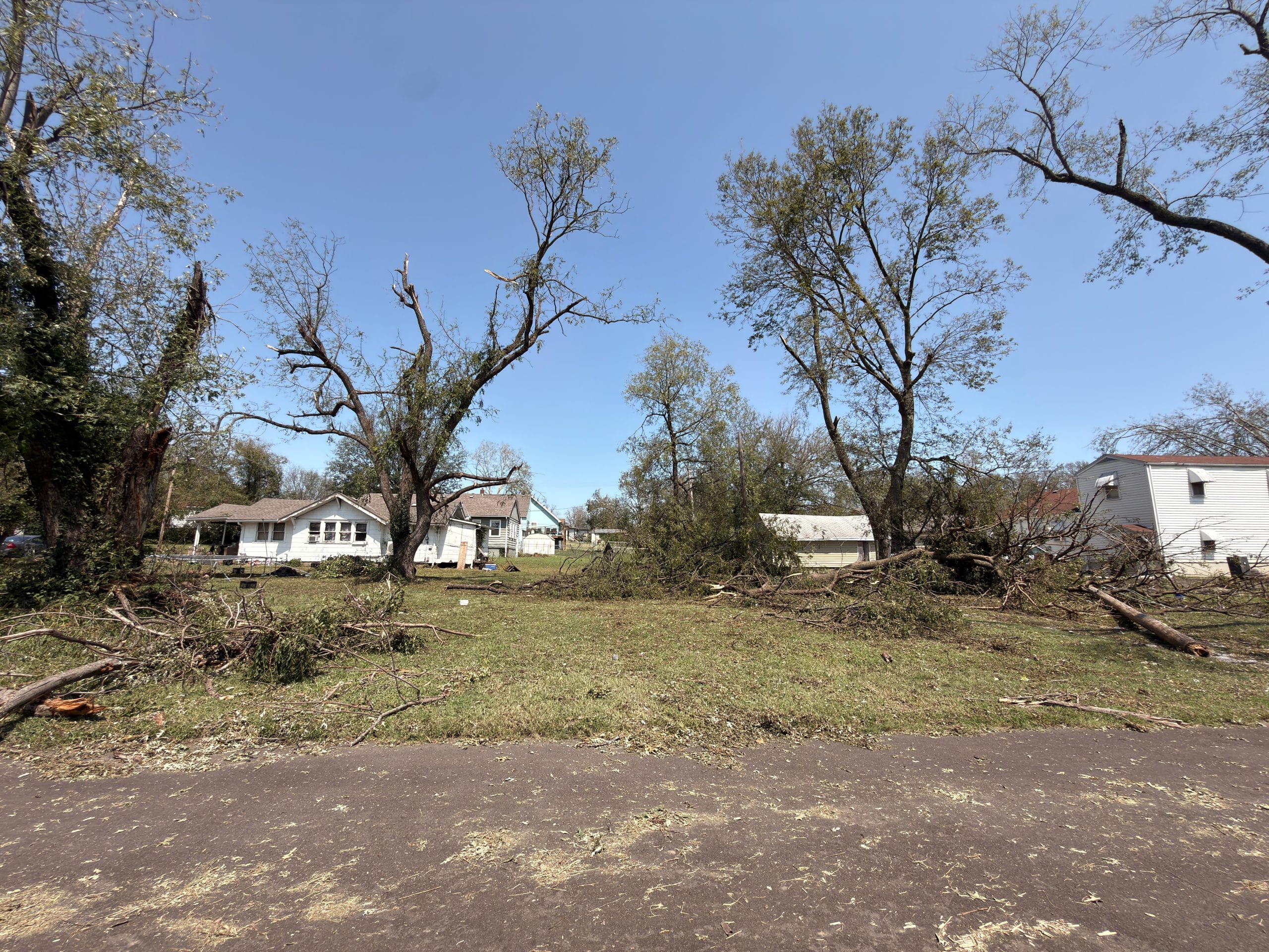 Storm-splintered trees across a Wyandotte County street
